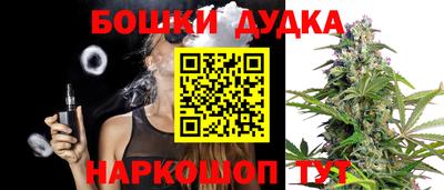 индика Каменск-Шахтинский