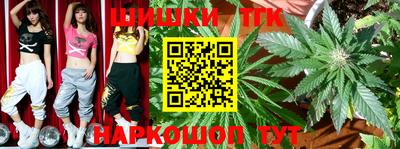 индика Каменск-Шахтинский