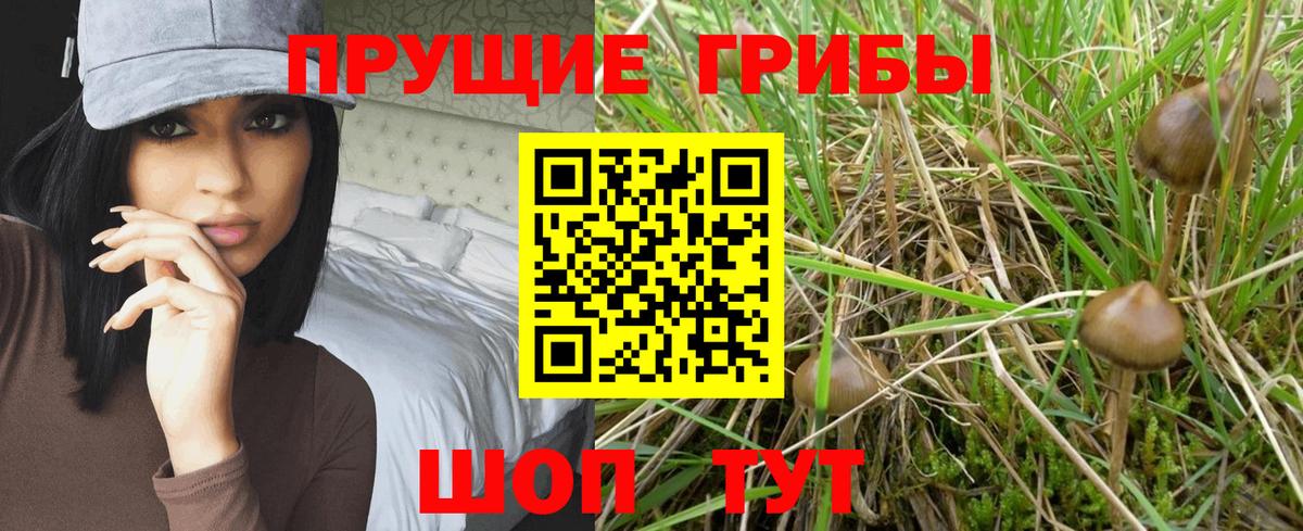 Галлюциногенные грибы мухоморы Губаха