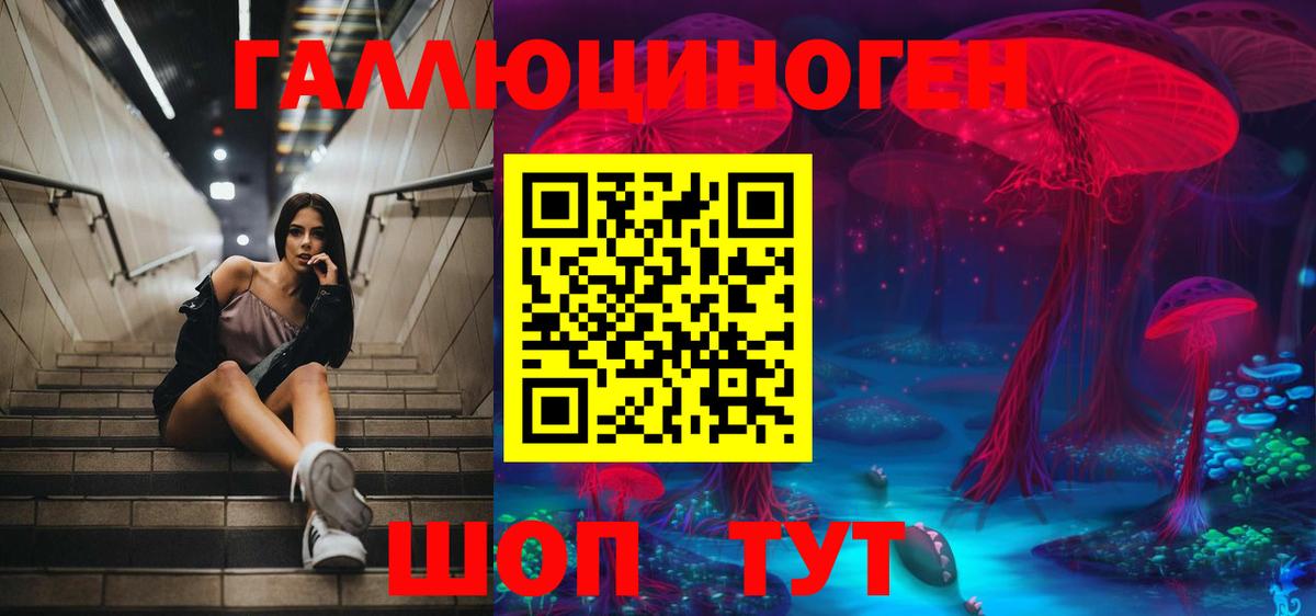 Губаха  Галлюциногенные грибы Cubensis  Вход с VPN 